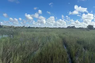 0 NW 306th St, Okeechobee, FL 34972 - Photo 1