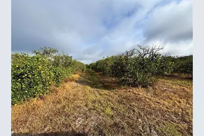 2205 Hicks Road, Lorida, FL 33857 - Photo 11