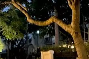 1617 Estuary Way, Delray Beach, FL 33483 - Photo 51