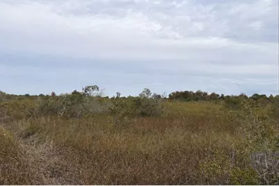 0 NW 310th Street, Okeechobee, FL 34972 - Photo 1