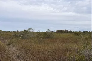 0 NW 310th St, Okeechobee, FL 34972 - Photo 1