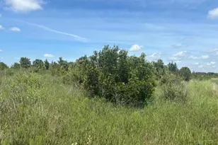 0 NW 310th St, Okeechobee, FL 34972 - Photo 1