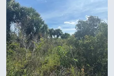 0 NW 310th Street, Okeechobee, FL 34972 - Photo 1