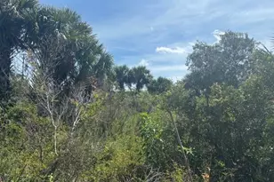 0 NW 310th St, Okeechobee, FL 34972 - Photo 1