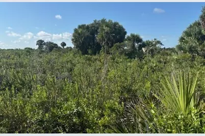 0 NW 316th Street, Okeechobee, FL 34972 - Photo 1