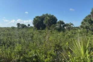 0 NW 316th St, Okeechobee, FL 34972 - Photo 1