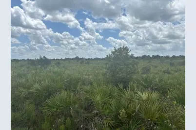 0 313th Street, Okeechobee, FL 34972 - Photo 1