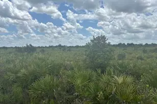 0 313th St, Okeechobee, FL 34972 - Photo 1