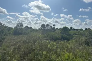 0 NW 316th St, Okeechobee, FL 34972 - Photo 1