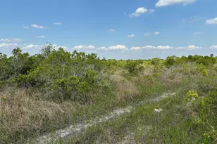 0 NW 318th St, Okeechobee, FL 34972 - Photo 1