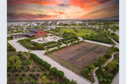 935 Hookline Circle, Loxahatchee, FL 33470 - Photo 61