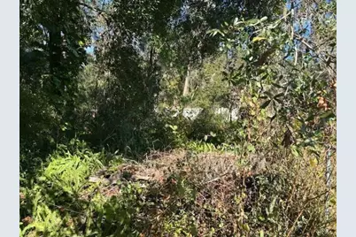 0 Maple Hill Court, Lakeland, FL 33811 - Photo 3
