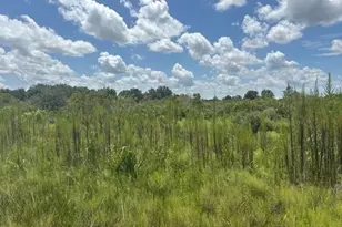 0 NW 314th St, Okeechobee, FL 34972 - Photo 1
