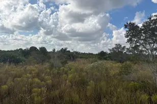 0 NW 314th St, Okeechobee, FL 34972 - Photo 1