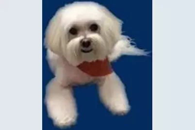 3015 N Ocean Boulevard #19E, Fort Lauderdale, FL 33308 - Photo 41