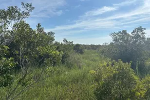 0 NW 308th St, Okeechobee, FL 34972 - Photo 1