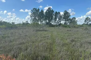 0 290th St, Okeechobee, FL 34972 - Photo 1