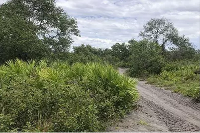 0 Alturas Babson Park Cutoff Road, Lake Wales, FL 33859 - Photo 1