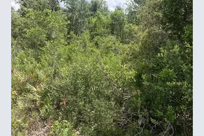 0 Xeriscape Nursery Road, Frostproof, FL 33898 - Photo 1