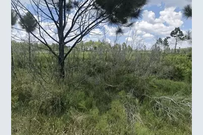 0 Xeriscape Nursery Road, Frostproof, FL 33843 - Photo 1