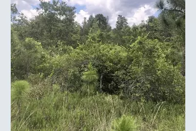 0 Xeriscape Nursery Road, Frostproof, FL 33843 - Photo 1