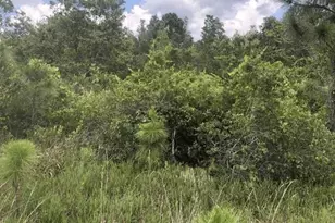 0 Xeriscape Nursery Rd, Frostproof, FL 33843 - Photo 1