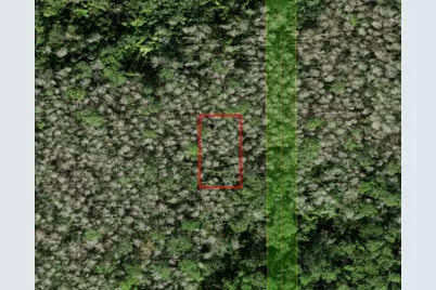 0 Holopaw Groves Road, Saint Cloud, FL 34772 - Photo 1