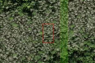 0 Holopaw Groves Rd, Saint Cloud, FL 34772 - Photo 1