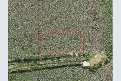 0 Holopaw Groves Road, Saint Cloud, FL 34772 - Photo 1