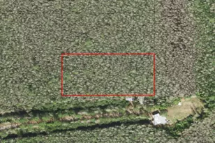 0 Holopaw Groves Rd, Saint Cloud, FL 34772 - Photo 1