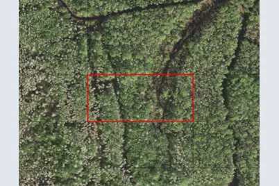 0 Holopaw Groves Road, Saint Cloud, FL 34772 - Photo 1