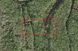 0 Holopaw Groves Rd, Saint Cloud, FL 34772 - Photo 1