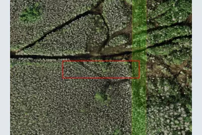 0 Holopaw Groves Road, Saint Cloud, FL 34772 - Photo 1