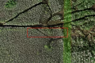 0 Holopaw Groves Rd, Saint Cloud, FL 34772 - Photo 1