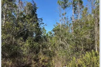 0 Holopaw Groves Road, Saint Cloud, FL 34772 - Photo 1