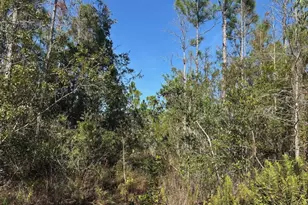 0 Holopaw Groves Rd, Saint Cloud, FL 34772 - Photo 1
