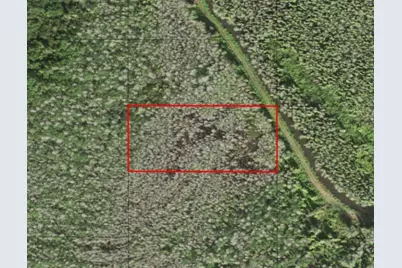 0 Holopaw Groves Road, Saint Cloud, FL 34772 - Photo 1