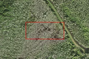 0 Holopaw Groves Rd, Saint Cloud, FL 34772 - Photo 1