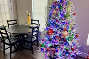 3973 NW 87th Ave, Sunrise, FL 33351 - Photo 9