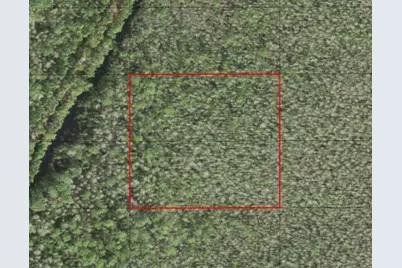 0 Holopaw Groves Road, Saint Cloud, FL 34772 - Photo 1
