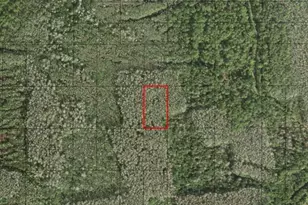 0 Holopaw Groves Rd, Saint Cloud, FL 34772 - Photo 1