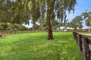 13646 N US Hwy 27, Ocala, FL 34482 - Photo 75