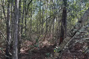 0 Holopaw Groves Rd, Saint Cloud, FL 34772 - Photo 1