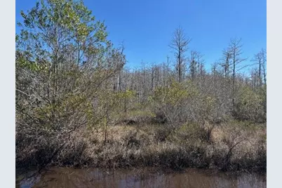 0 Holopaw Groves Road, Saint Cloud, FL 34772 - Photo 1