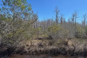 0 Holopaw Groves Rd, Saint Cloud, FL 34772 - Photo 1