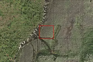 0 Holopaw Groves Rd, Saint Cloud, FL 34772 - Photo 1