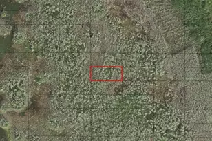 0 Holopaw Groves Rd, Saint Cloud, FL 34772 - Photo 1