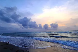 121 SE 3rd Ave, Dania Beach, FL 33004 - Photo 33