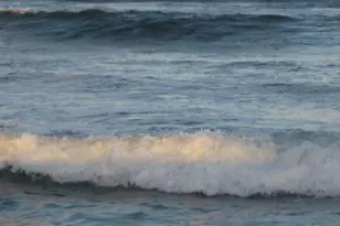 3212 NE 12th St, Pompano Beach, FL 33062 - Photo 33