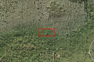 0 Holopaw Groves Rd, Saint Cloud, FL 34772 - Photo 1